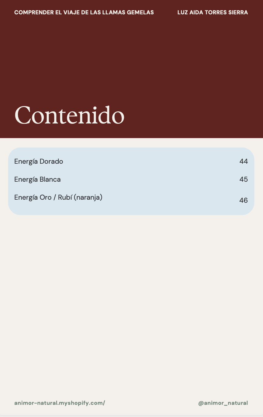 ✨ Guía para comprender el viaje de las Llamas Gemelas ✨