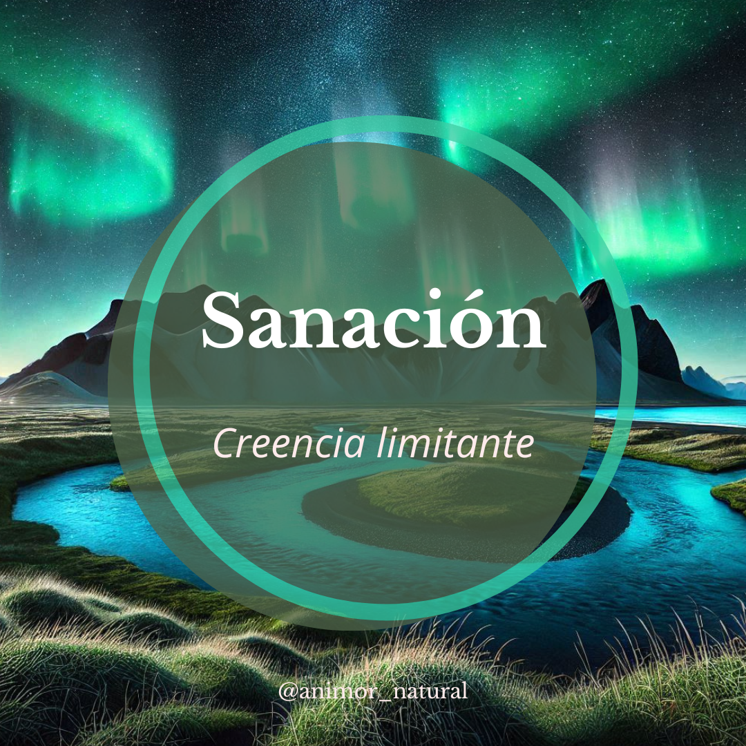 Sesión 1:1 videollamada