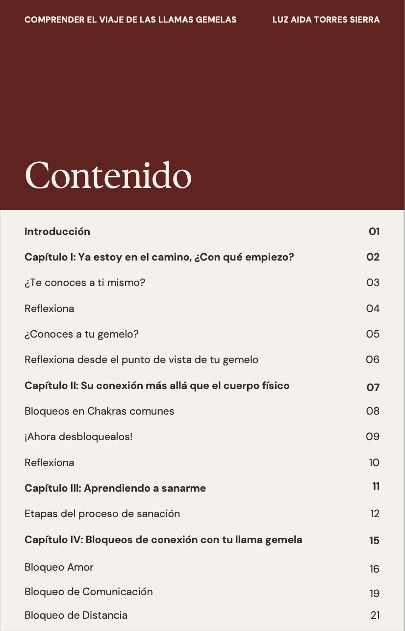 ✨ Guía para comprender el viaje de las Llamas Gemelas ✨