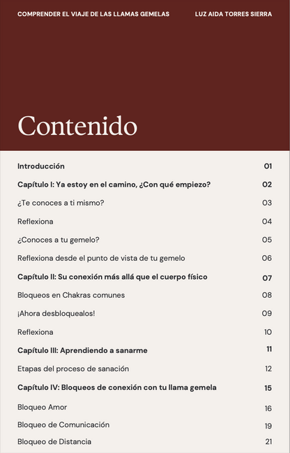 ✨ Guía para comprender el viaje de las Llamas Gemelas ✨