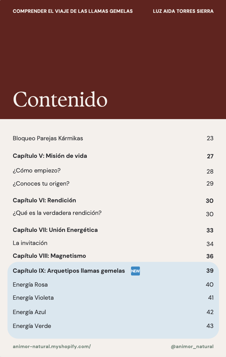 ✨ Guía para comprender el viaje de las Llamas Gemelas ✨