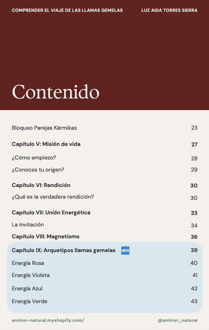 ✨ Guía para comprender el viaje de las Llamas Gemelas ✨
