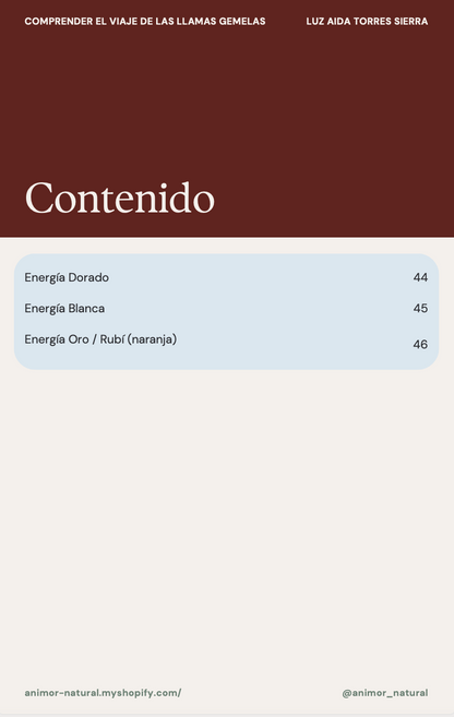 ✨ Guía para comprender el viaje de las Llamas Gemelas ✨