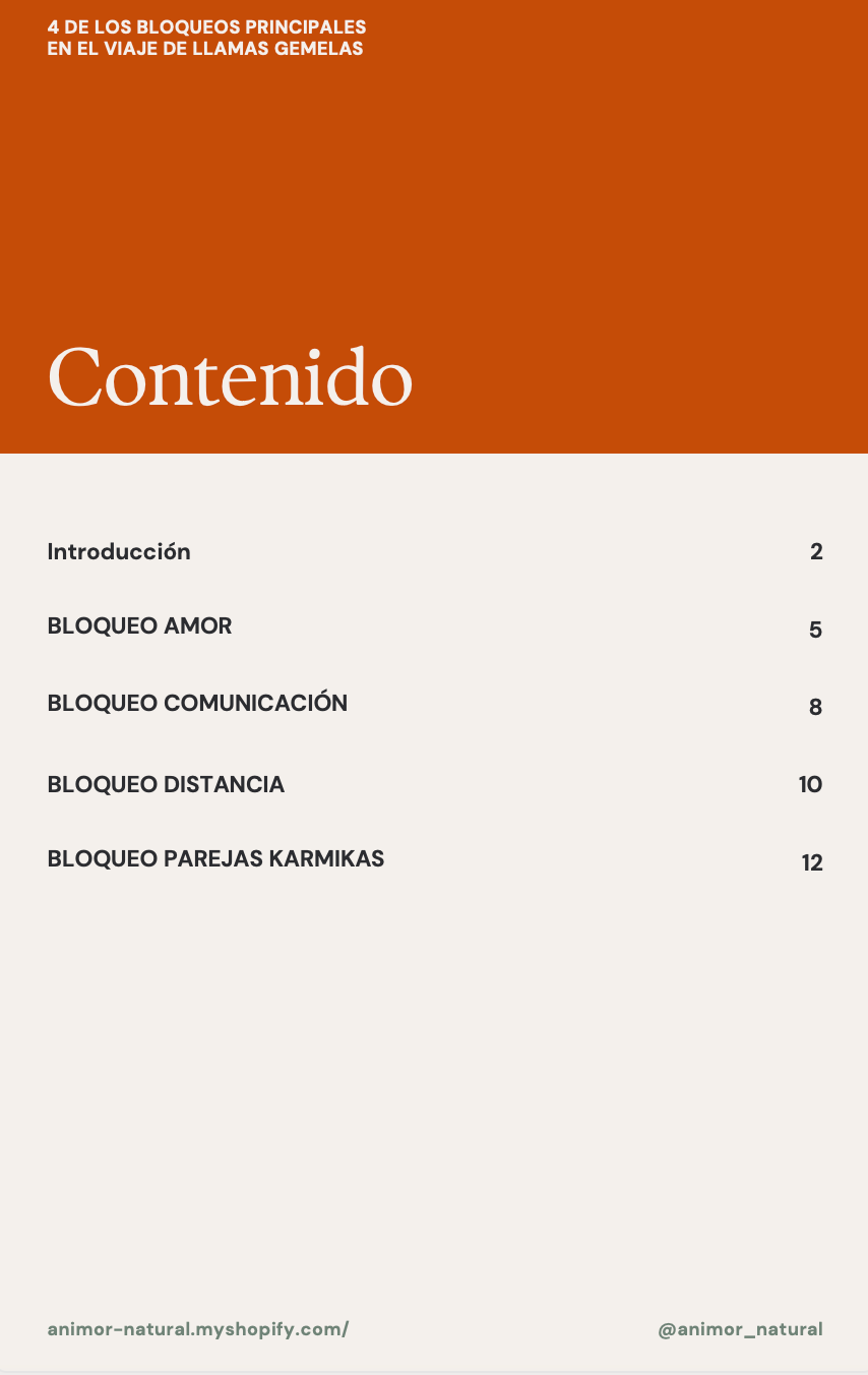✨ 4 de los Bloqueos principales en el viaje de llamas gemelas