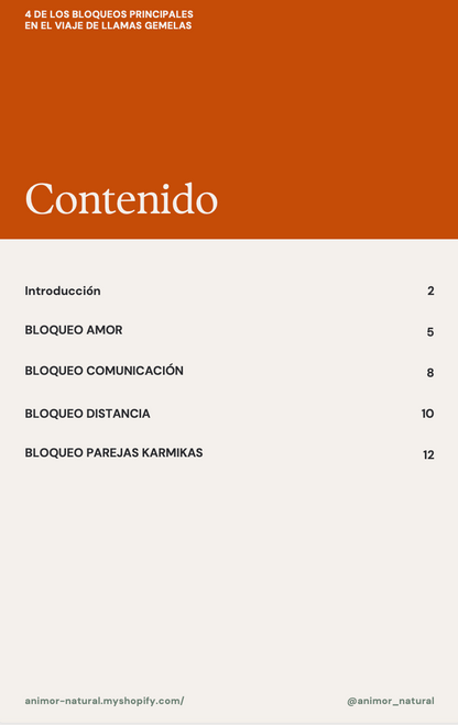 ✨ 4 de los Bloqueos principales en el viaje de llamas gemelas